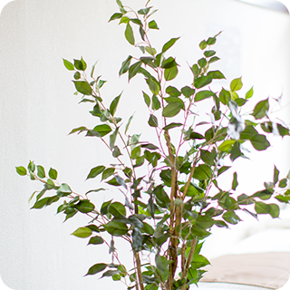 かとう鼻のクリニック